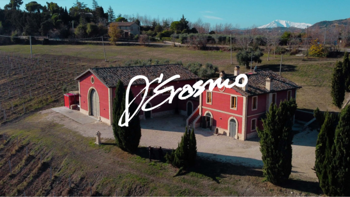 Alla Scoperta della Cantina D’Erasmo: Tradizione e Innovazione dal Cuore del Piceno
